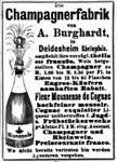 Fleur Moussease de Cognac 1884 937.jpg